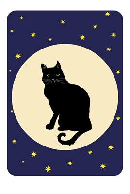 Moon Cat, Starry sky