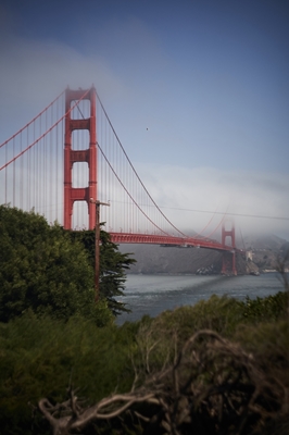 Die Golden Gate Brücke