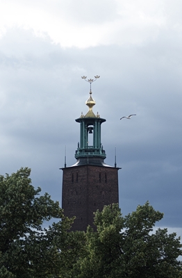 Municipio di Stoccolma