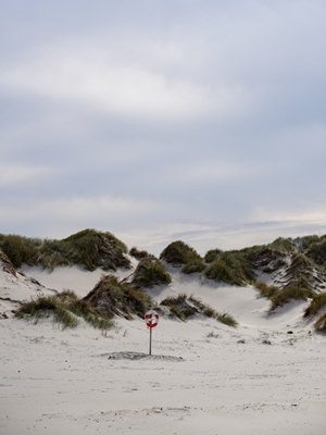 Danske sanddyner