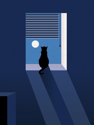 Niedliche Katze in der Nacht