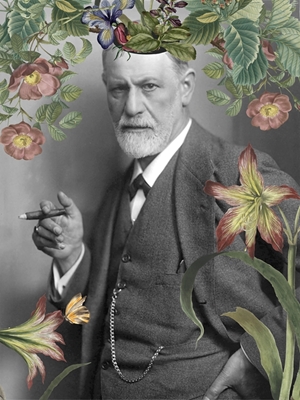 Colagem de Freud