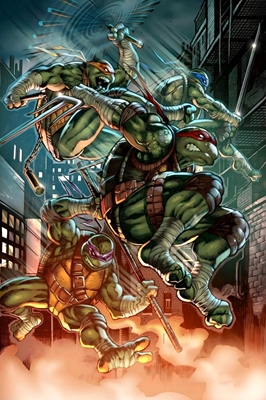 Ninja schildpadden 