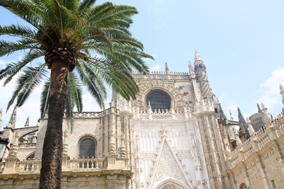 Sevillská katedrála 2