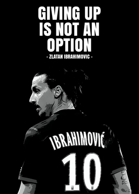 Zlatan Ibrahimovic Quotes