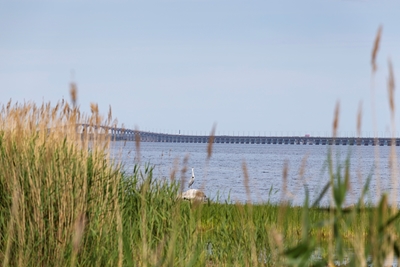 Il ponte di Öland