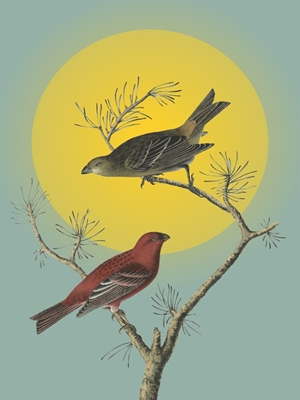 Two Birds Perched On A Branch