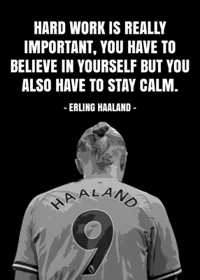 Citações de Erling Haaland