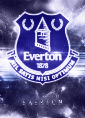 Everton posters & prints by ArtStyle Funny - Printler