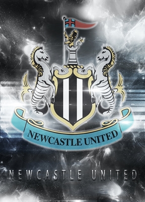 Newcastle United posters & prints by ArtStyle Funny - Printler