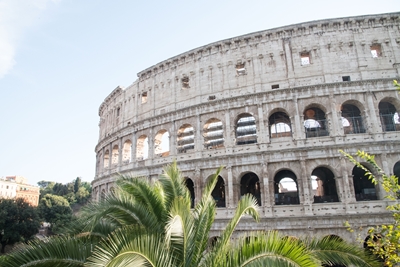 Kolosseum in Rom mit Palme 3