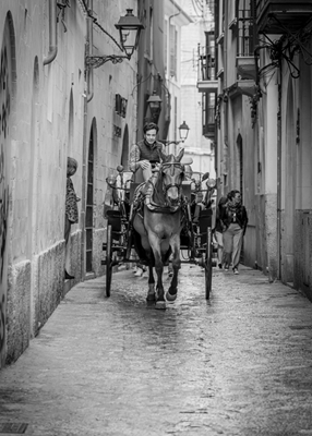 Horse-drawn carriage/taxi