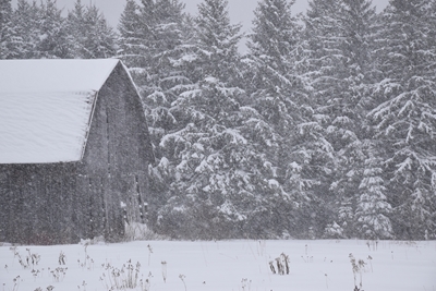 A barn during a snowstorm