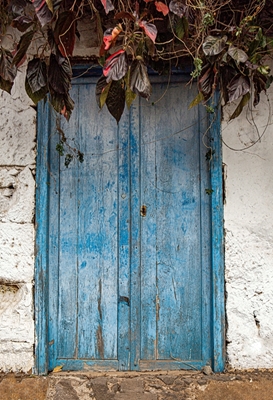 Ljusblå dörr i ett lövverk