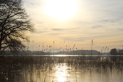 Popołudniowe słońce nad jeziorem Örsjön