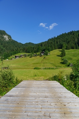 the green austrian alps