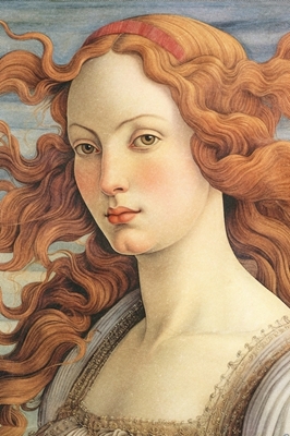 Portrait the beautiful Venus