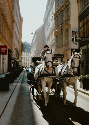 Carriage ride through Vienna 
