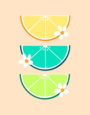 Gekleurde citrusvruchten
