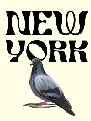 new york pigeon