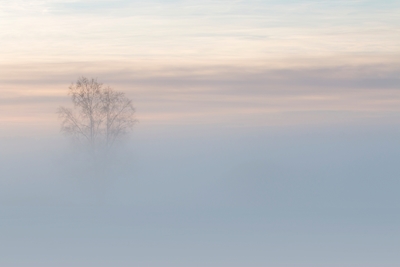 Verloren im Nebel