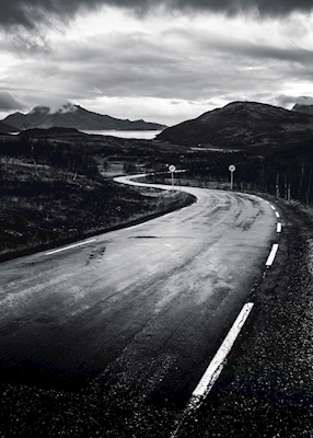 Arctic Road