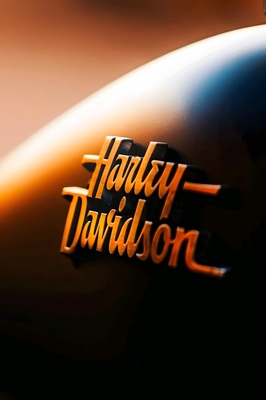Harley Davids