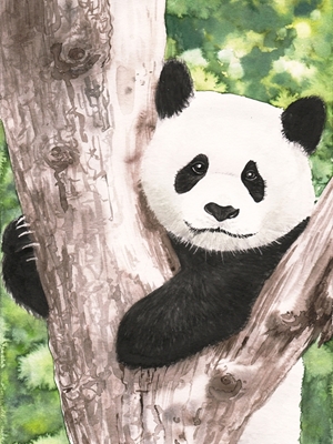 Akvarell Panda