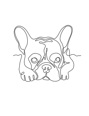Französische Bulldogge mit einer Strichzeichnung