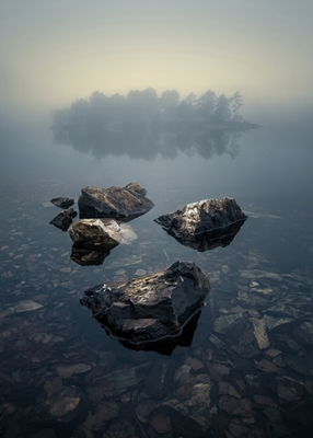 Misty morning lake