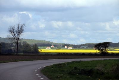 View towards Kullaberg