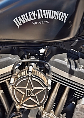 Harley Davidson engine block