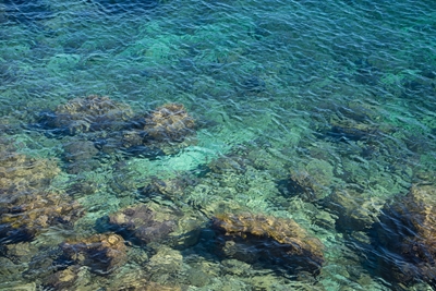 Blått sjøvann i en steinete vik