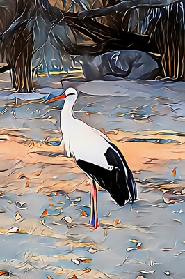 stork, vit stork