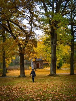 Jesień w Södermanland