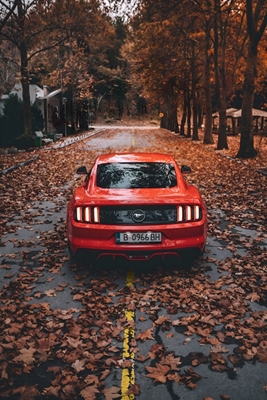 Ford Mustang muskeliauto
