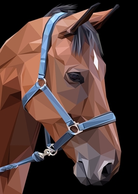 Corda Azul Abstrato Cavalo Marrom