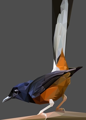 Murai Bird Abstract Low Poly