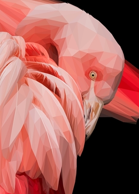 Flamingo Vogel Abstrakt