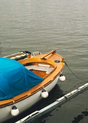 Anchored Boat