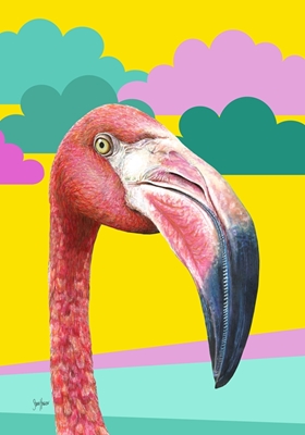Flamingo vol. 2