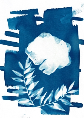 Flor azul da água-viva