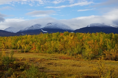 Podzimní barvy se zasněženými vrcholky