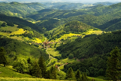 Landskap i Schwarzwald