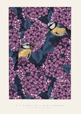 Pájaros herrerillos en jardín violeta