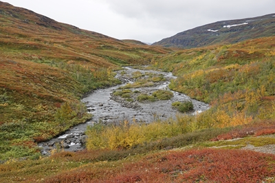 Jåkk com pequenas ilhas nas cores do outono