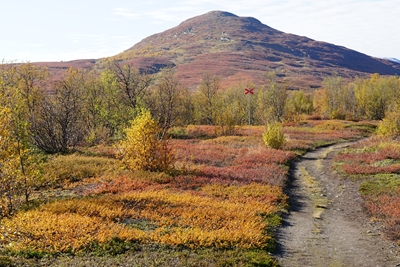 Mountain path in autumn colors