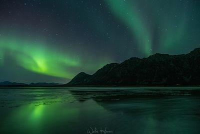 L'aurora boreale a Delp alle Lofoten