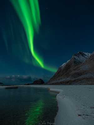 L'aurora boreale alle Lofoten