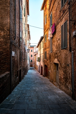 Streets of Siena (Italy)